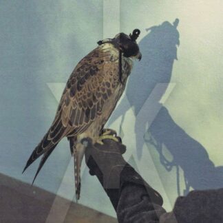 Iceage - You're Nothing 1LP