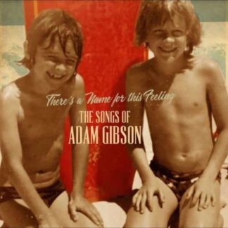 Adam Gibson - The Songs Of Adam Gibson 2LP
