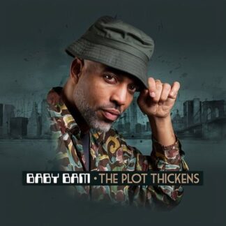 Baby Bam - Plot Thickens 1LP