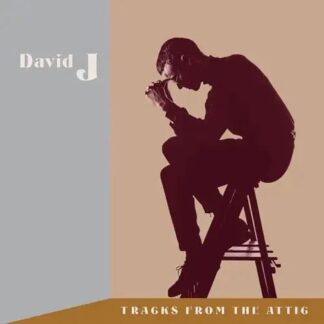 David J - Tracks from the Attic 6LP