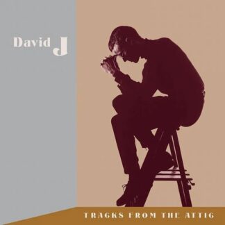 David J - Tracks From The Attic (Red Vinyl) 3LP