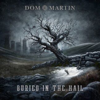 Dom Martin - Buried In The Hail 1LP