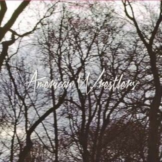 American Wrestlers - I Can Do No Wrong / the Rest of You (7" Vinyl) 1LP