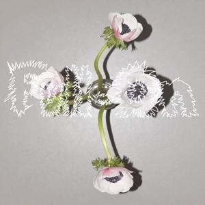 Klara & Nik Colk Void Lewis - Full-On (clear) 1LP