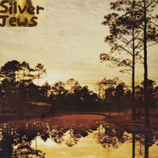 Silver Jews - Starlite Walker 1LP
