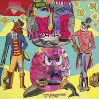 Bill Callahan - Woke On A Whale Heart 1LP