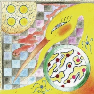 Wand - Perfume 1LP