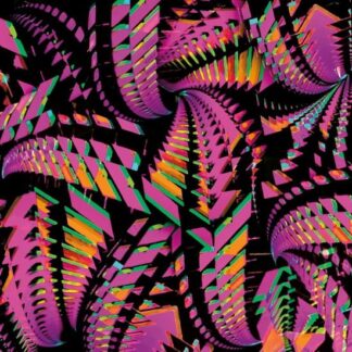 Bitchin Bajas - Bajascillators 2LP