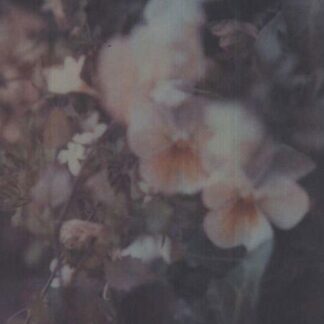 Every Hidden Color - Luz 1LP