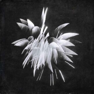Brent Windler - New Morning Howl 1LP