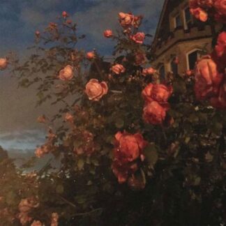 John Bence - Love 1LP