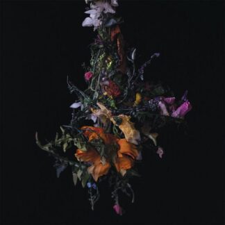 Big / Brave - Nature Morte 1LP