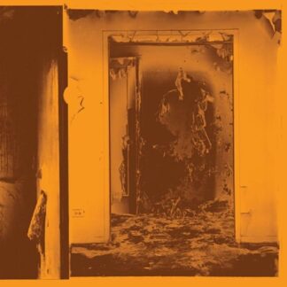 Facs - Present Tense 1LP