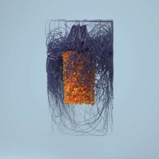 Plaid - Polymer 2LP