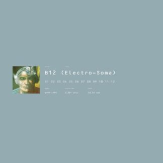 B12 - Electro-soma 2LP