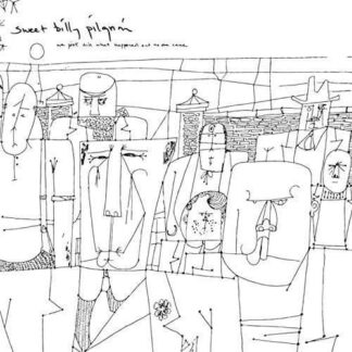 Sweet Billy Pilgrim - We Just Did What Happened and No One Came 1LP
