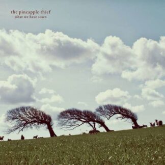 The Pineapple Thief - What We Have Sown 2LP