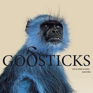 GODSTICKS - THIS IS WHAT A WINNER LOOKS LI
