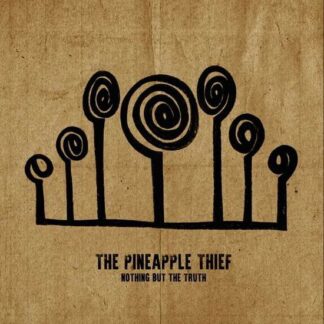 The Pineapple Thief - Nothing but the Truth 2LP