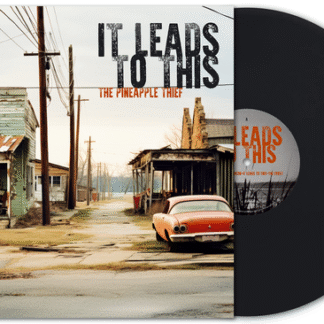 The Pineapple Thief - It Leads To This 1LP