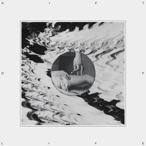 Vhs - Gift Of Life (clear) 1LP