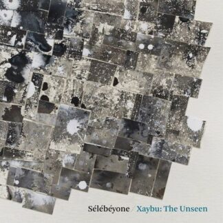 Lehman,steve / Selebeyone - Xaybu: the Unseen 1LP
