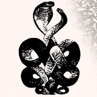Bardo Pond - Volume 4 & 5 2LP