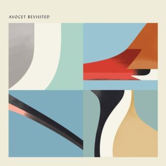 Compilation - Avocet Revisited 1LP