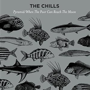 Chills - Pyramid 1LP