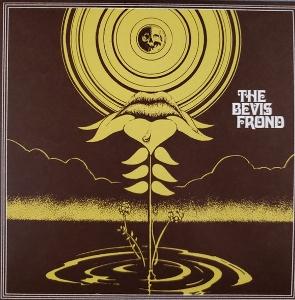 The Bevis Frond - Typical Freakout 1LP