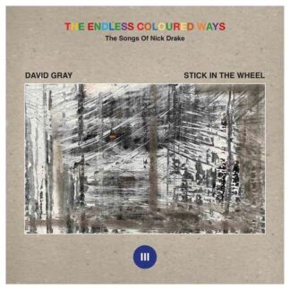 David Gray / Stick In The Wheel - The Endless Coloured Ways: The Songs of Nick Drake 1LP