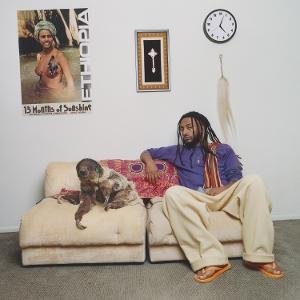 Aminé - 13 Months of Sunshine 2LP