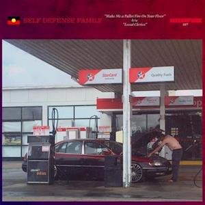 Self Defense Family - Make Me A Pallet Fire On Your Floor / Local Clerics 1LP