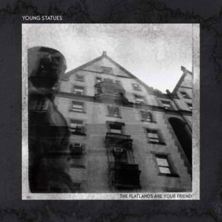 YOUNG STATUES - The Flatlands Are Your Friend