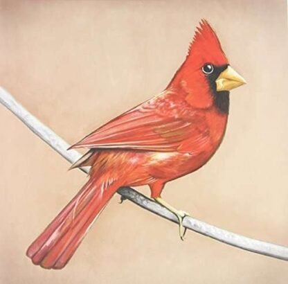 ALEXISONFIRE - OLD CROWS/YOUNG CARDINALS
