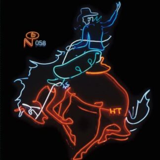 Wayfaring Strangers: Cosmic American Music / Var - Wayfaring Strangers: Cosmic American Music 2LP