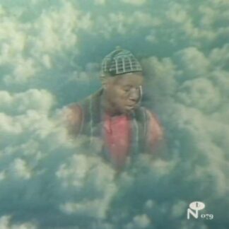 Laraaji & Sun Araw - Vision Songs 1LP