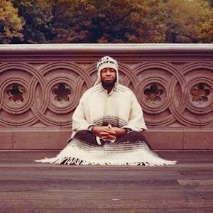 Laraaji - Seque to Infinity 4LP