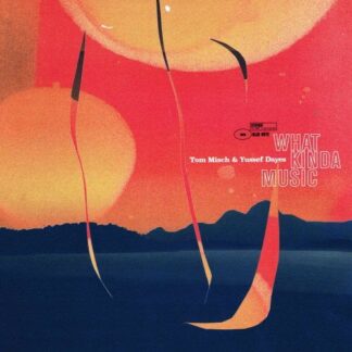 Tom Misch / Yussef Dayes - What Kinda Music 2LP