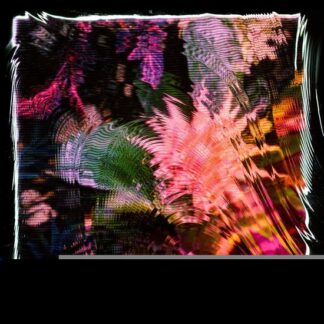 Camila Fuchs - Kids Talk Sun 1LP