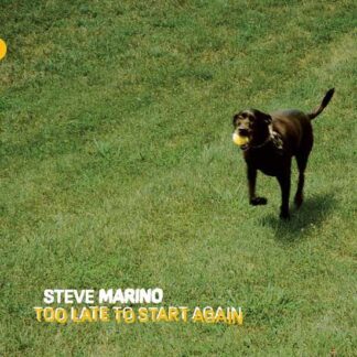 Steve Marino - Too Late To Start Again 1LP