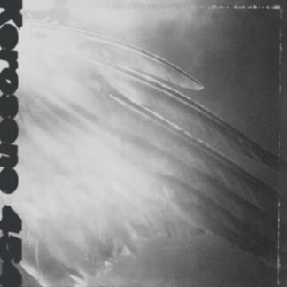 Kerosene 454 - Came By To Kill Me (Indie Exclusive) 1LP