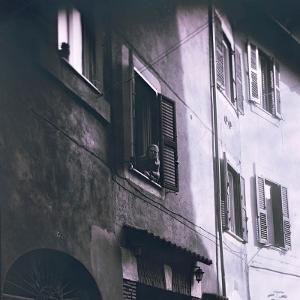 Andy Jenkins - Since Always 1LP