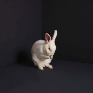 Brume - Rabbits 1LP
