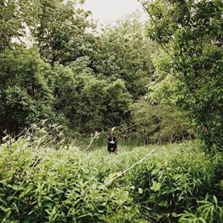 Exalt - Pale Light 1LP