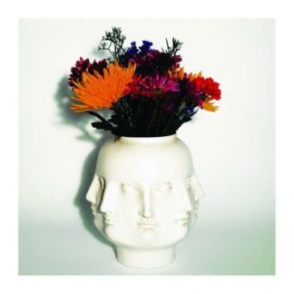 Buffalo Killers - Heavy Reverie 1LP