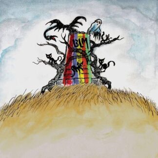 Drive-by Truckers - The New Ok 1LP