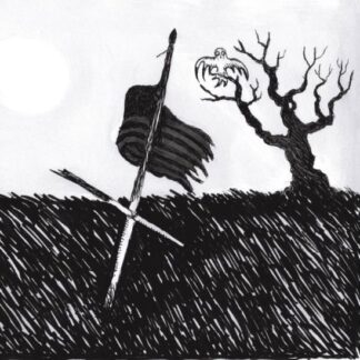 Drive-by Truckers - American Band 2LP