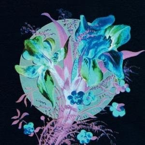 Hannu Karjalainen - A Handful Of Dust Is A Desert 1LP