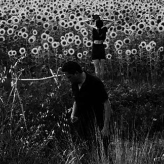 Jesu / Sun Kil Moon - Jesu / Sun Kil Moon 2LP